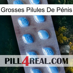 Grosses Pilules De Pénis viagra3